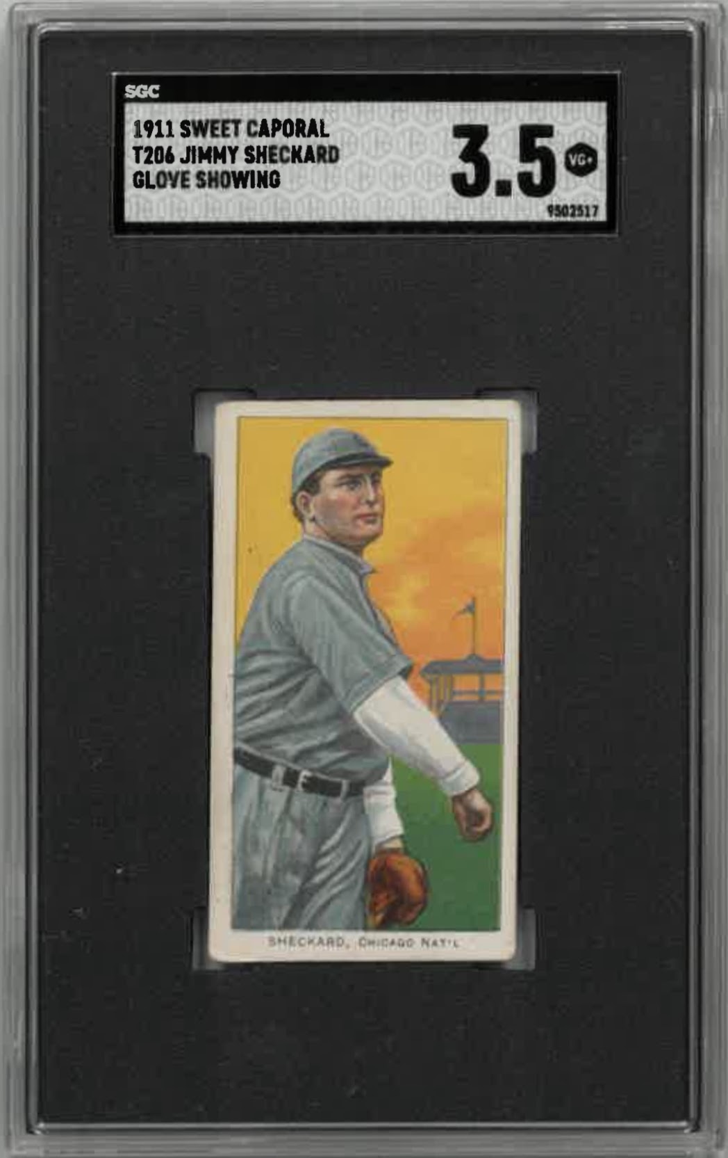 1909-11 T206 Jimmy Sheckard (Glove Showing) Sweet Caporal 350-460/30 SGC VG+ 3.5